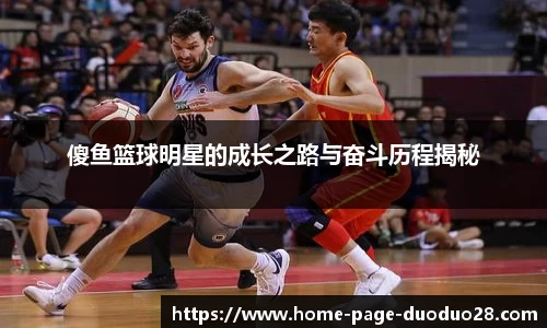 傻鱼篮球明星的成长之路与奋斗历程揭秘